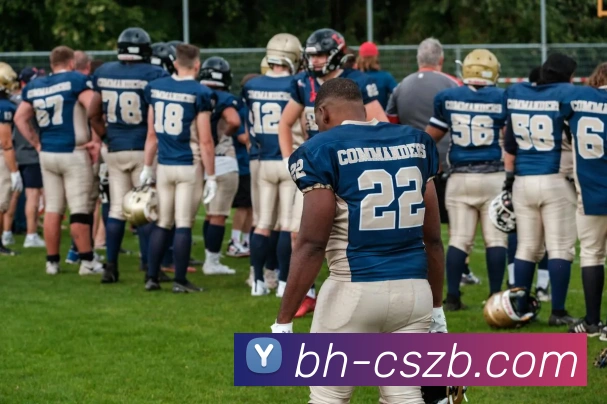 App Interface Preview